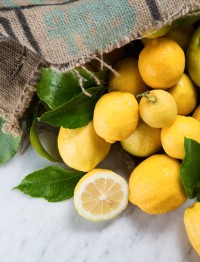 citron de Menton